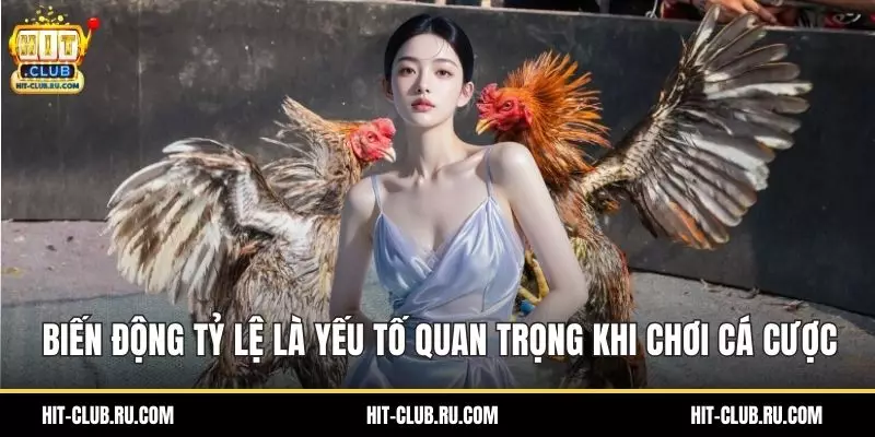 Biến động tỷ lệ là yếu tố quan trọng khi chơi cá cược