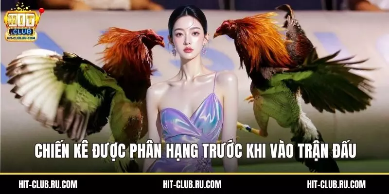 Chiến kê được phân hạng trước khi vào trận đấu